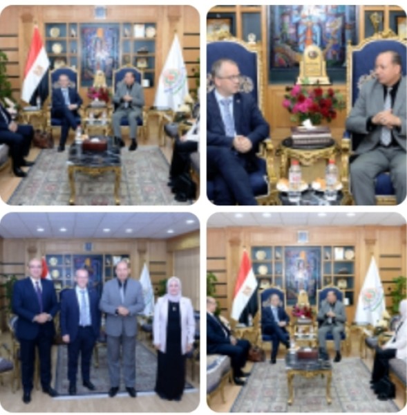 جامعة المنصورة 