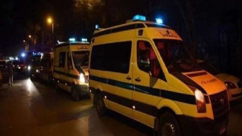 حادث تصادم دامي في البحيرة: 25 عاملًا مصابًا في تصادم سيارة نقل وميكروباص بطريق التحدي – النجاح