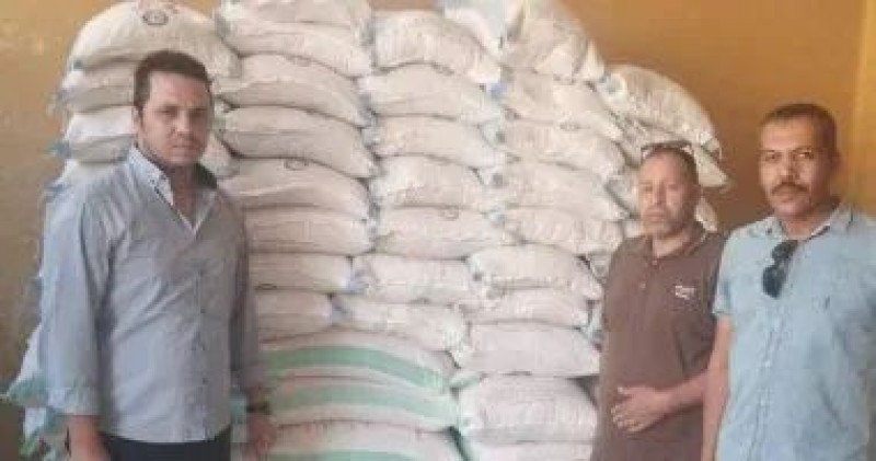ضبط دقيق مدعم 