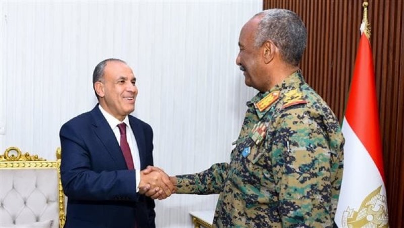 لقاء بين وزير الخارجية المصري ورئيس مجلس السيادة السوداني يؤكد على وحدة موقف البلدين حول نهر النيل