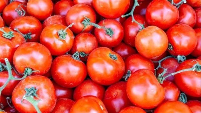 وزير الزراعة: ارتفاع أسعار الطماطم مؤقت وسيعود إلى مستوياته الطبيعية قريبًا
