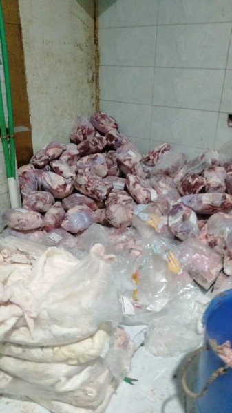 ضبط 1000 كيلو لحوم منتهية الصلاحية بالإسكندرية