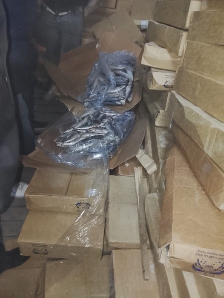 ضبط 35 طن سمك ماكريل و كبدة مجمدة غير صالحة للاستهلاك الآدمي بكفر الدوار