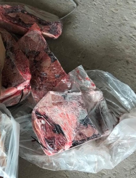 30 طن سمك و5 طن كبدة فاسدة ضبطت في كفر الدوار