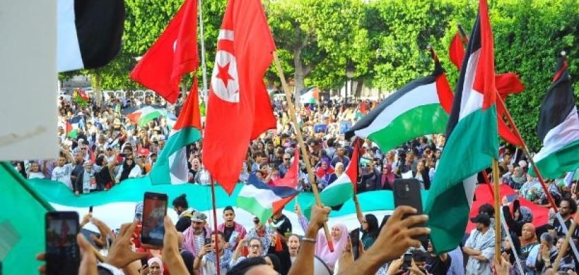 حملة شعبية تونسية لجمع مليون توقيع لتجريم التطبيع مع الاحتلال