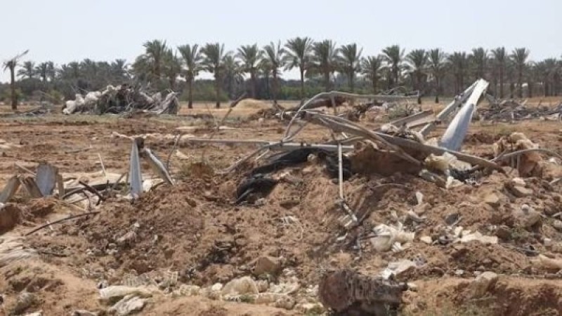 كارثة غذائية غير مسبوقة في غزة بسبب تدمير الاحتلال للأراضي الزراعية