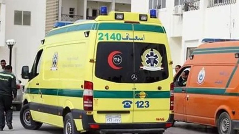 اصـابة 10 أشخاص بينهم أطفال في هجـوم كلب مسعور بقرية سيلا بالفيوم