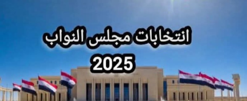 تفاصيل اكثر حول انتخابات مجلس النواب في مصر 2025