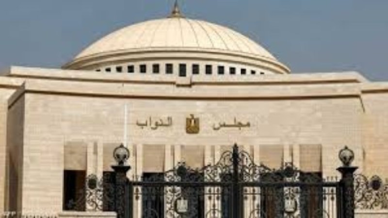 بحد أقصى 5% من الإنفاق.. ضوابط التبرع للدعاية الانتخابية للنواب