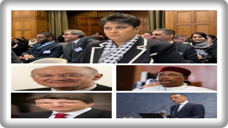 اختيار نميرة نجم عضوًا في المجلس الاستشاري للمركز الدولي الإسكندنافي لتحويل النزاعات