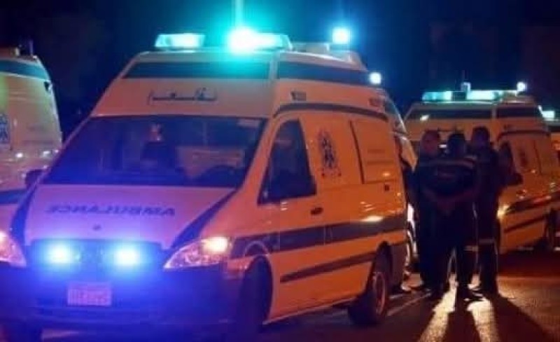 3 سودانيين يخطـفون طالبا وعـذبوه حتى الموت داخل شقة بشارع العشرين بفيصل 3 سودانيين يخطـفون طالبا وعـذبوه حتى الموت داخل شقة بشارع العشرين بفيصل