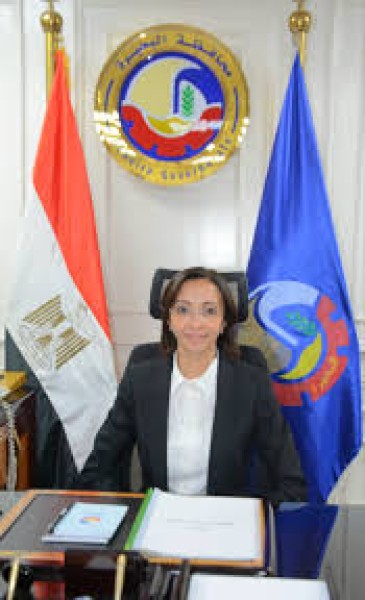 موظفون مهددون بالطرد بسبب تأخر الرواتب في نادي دمنهور