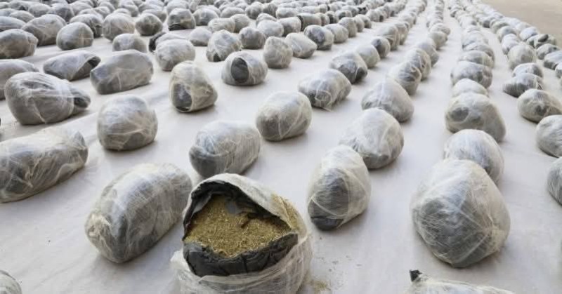 الداخلية تضبط ٣ أطنان مخدرات  هيدرو وحشيش بـ ٢٢٥ مليون جنيه في السويس