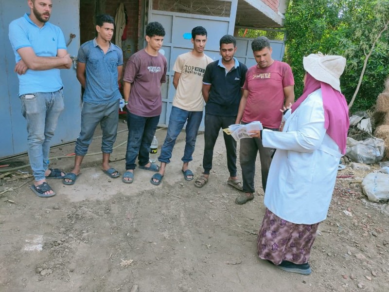 محافظ الدقهلية: تحصين أكثر من 16 ألف رأس ماشية في الحملة القومية للتحصين ضد الحمى القلاعية