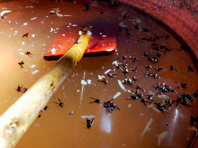 صحة الدقهلية: ضبط كميات من الأغذية غير الصالحة للاستهلاك الآدمي في حملة مكبرة بتمي الأمديد