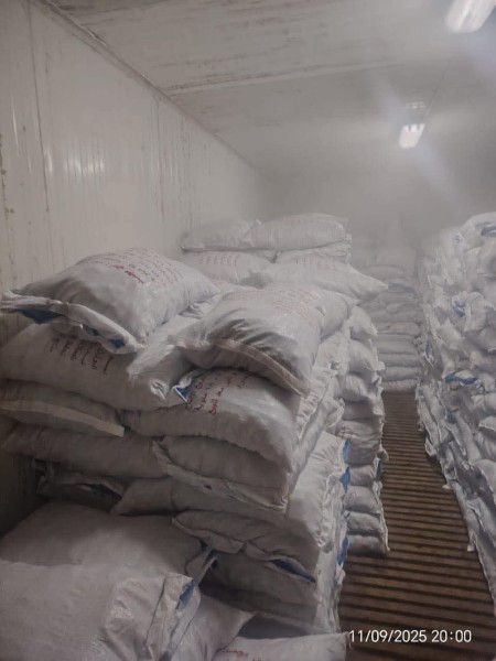 ضبط وإعدام أكثر من 17 طن أغذية غير صالحة للاستهلاك ضمن حملات مكثفة لمراقبة الأغذية بدمياط