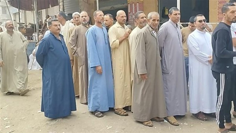 الحصر العددي للدوائر الانتخابية في البحيرة: تعرف على الفائزين