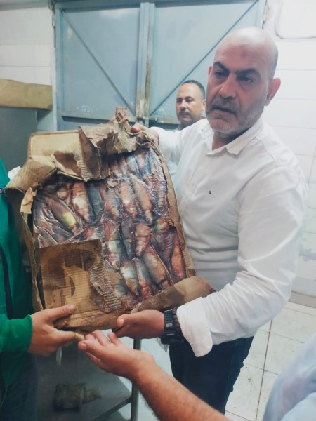ضبط 2 طن من اللحوم والدواجن والأسماك الفاسدة في حملة مفاجئة بمدينة العبور