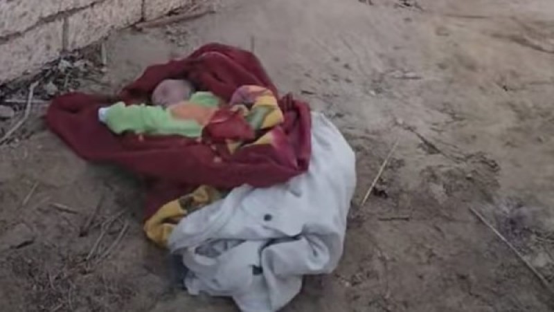 العثور على رضيع بوسط الزراعات فى قرية عوامر بنى برزة بقنا