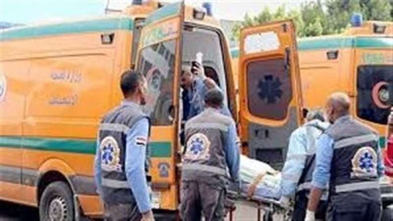 طفل يغرق في ترعة أمام منزله بقرية كوم الفرج في البحيرة