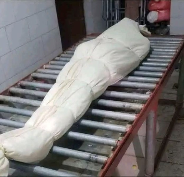 زوجة تقتل زوجها بسكين غرب الإسكندرية