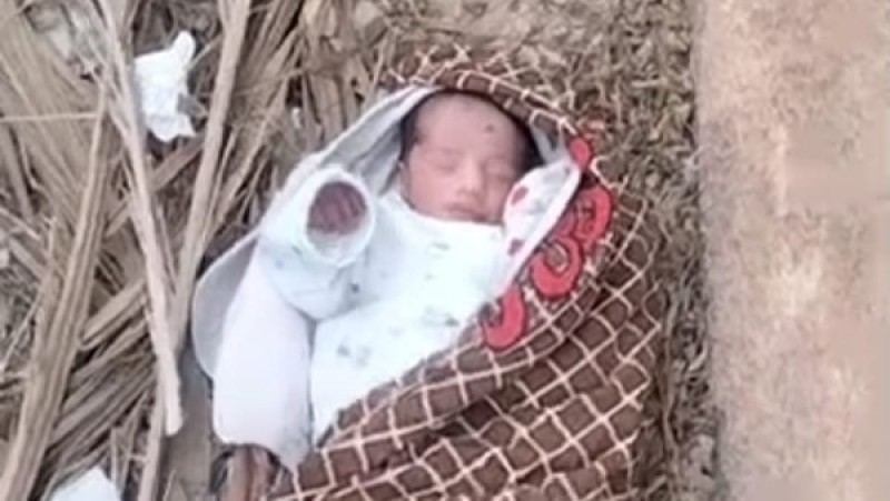 كشف هوية رضيع ملقى بجوار الزراعات في قرية العوامر بقنا