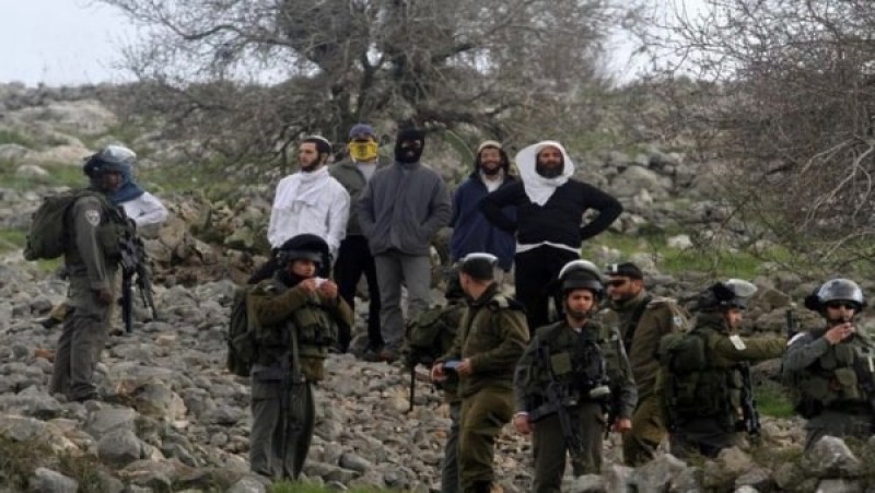 لجنة أممية: الاحتلال منح المستوطنين تفويضا مطلقا لترهيب الفلسطينيين