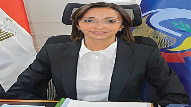 لاحياء مشروع البتلو.. تمويل ميسر وخدمات بيطرية شاملة لدعم صغار المربين في البحيرة