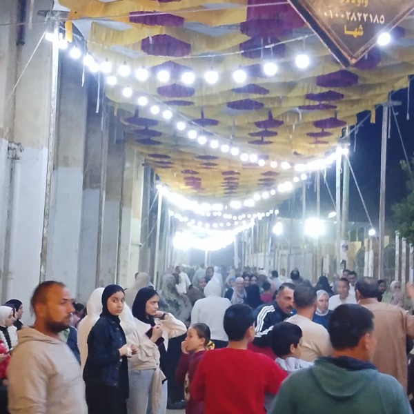 الدقهليهة: تفاصيل اكثر حول مرور اليوم الأول من انتخابات النواب