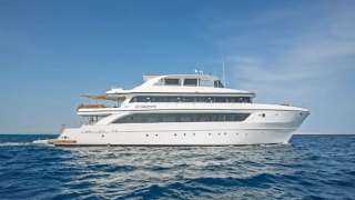 غرفة سياحة الغوص تصدر بيانا رسميا حول حادث شحوط يخت بمرسى علم