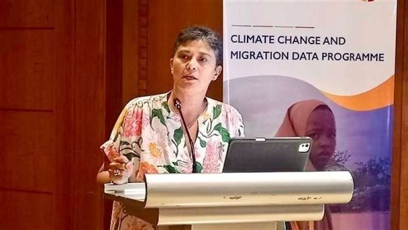 نميرة نجم تعلن عن شراكة إستراتيجية ثلاثية بين المرصد الإفريقي وجامعة الدول العربية و منظمة الهجرة الدولية