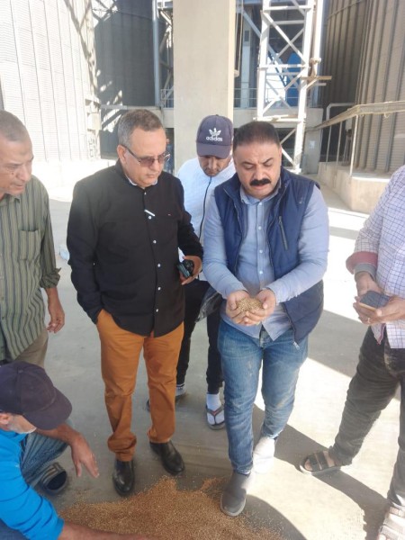 تفاصيل حصاد الأسبوع التمويني بالدقهلية: تحرير 308 محاضر وجولات ميدانية مكثفة لحماية الأسواق والمخابز بلا هوادة