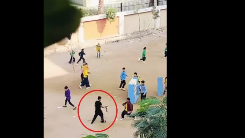 فصل 4 طلاب بمدرسة بالهرم ومجازاة المدير بسبب ”قطة ميتة”