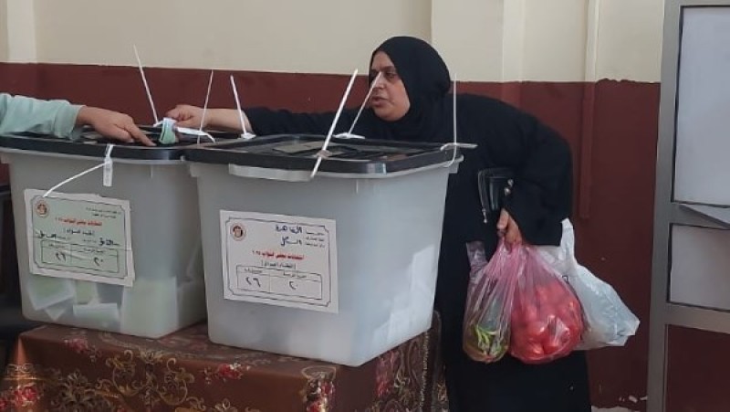 الوطنية للانتخابات: جدول زمني خاص لإجراء الانتخابات بـ29 دائرة ألغتها الإدارية العليا