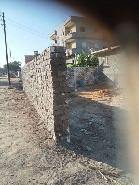 زراعة الإسكندرية تتصدى للتعدي على الأراضي الزراعية