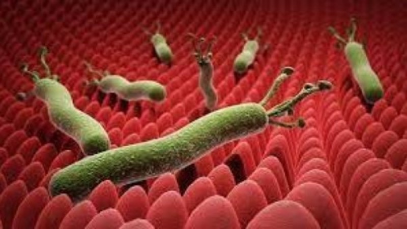 سحب تشغيلة أشهر علاج لجرثومة المعدة وارتجاع المريء.. وهذه عقوبة غش الأدوية