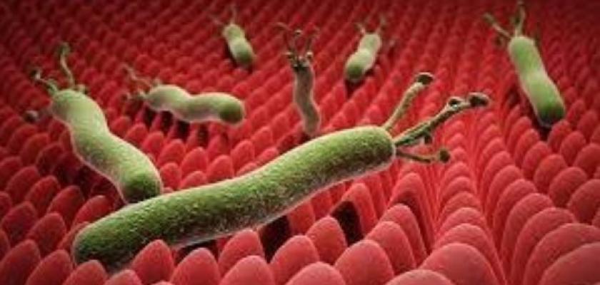 سحب تشغيلة أشهر علاج لجرثومة المعدة وارتجاع المريء.. وهذه عقوبة غش الأدوية