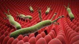 سحب تشغيلة أشهر علاج لجرثومة المعدة وارتجاع المريء.. وهذه عقوبة غش الأدوية