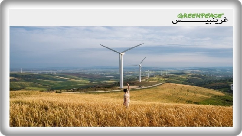 ”غرينبيس”: مشاريع الطاقة المتجددة في شمال أفريقيا تخدم أوروبا.. وتهدد سيادة الطاقة المحلية