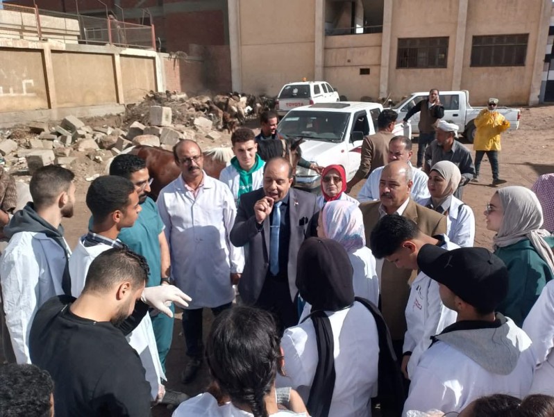 بيطري الدقهلية: تحصين ٢٥٦ ألف رأس ماشية في الحملة القومية للتحصين ضد الحمى القلاعية