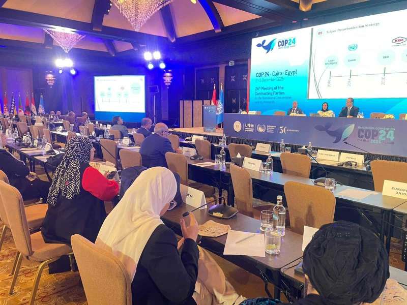 COP24 ينطلق بأنشطة تناقش تحديات المتوسط.. وسيدبك تستعرض رؤيتها للحياد الكربوني