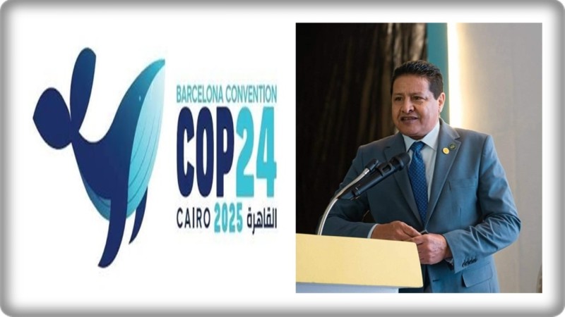مصر في COP24: إعلان القاهرة يحوّل البُعد البيئي إلى مسار إستراتيجي للأمن القومي والإقتصادي