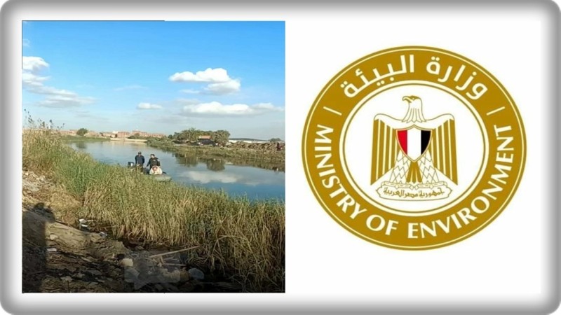 البيئة تعلن الإمساك بتمساح مصرف قرية الزوامل بالشرقية