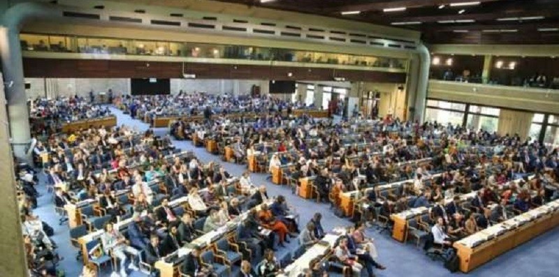 رئيس معهد الاستدامة: الأمم المتحدة تناقش آليات خفض البصمة الكربونية في اجتماعات جمعية البيئة