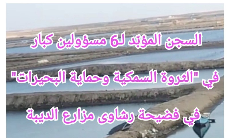 السجن المؤبّد لـعدد ٦ مسؤولين كبار في ”الثروة السمكية وحماية البحيرات” بفضيحة رشاوى مزارع الديبة