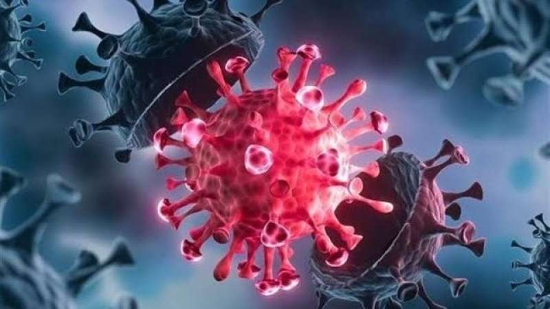 ماعندناش حاجة نخبيها.. وزير الصحة: 30% زيادة في عدد المصابين بفيروس H1N1