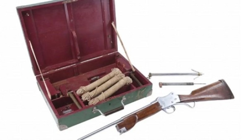 مقابل 650 ألف دولار.. كنوز فيلم الفك المفترس الأصلية في مزاد عالمي