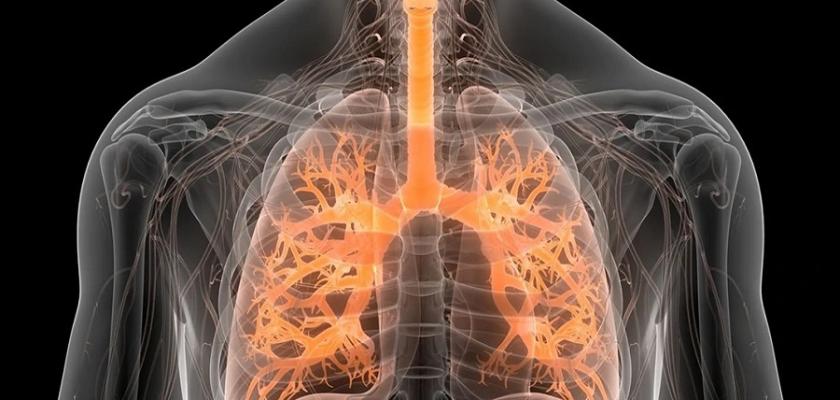 لماذا تزداد الأمراض التنفسية في الشتاء؟ طبيب يوضح الأسباب الخفية