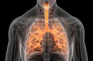 لماذا تزداد الأمراض التنفسية في الشتاء؟ طبيب يوضح الأسباب الخفية