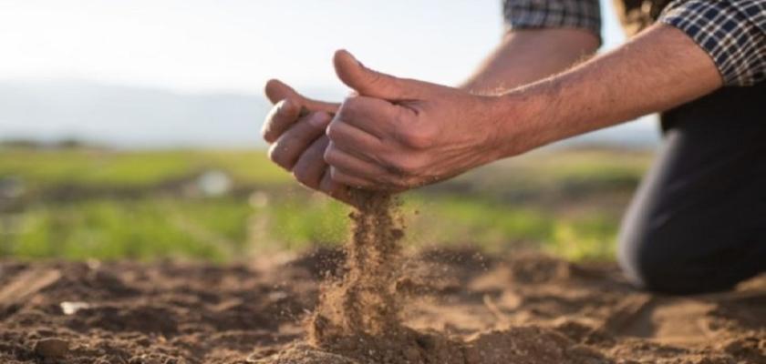 متحدث الأوقاف: سعر الإيجار الجديد لأراضي الأوقاف أقل من السوق 10-15%